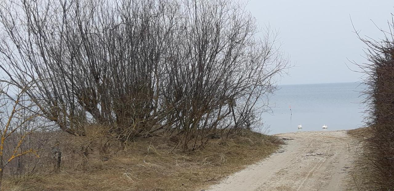 Лора Villa Lapmezciems Bagian luar foto