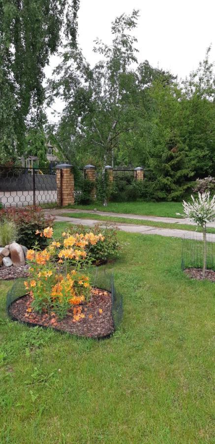 Лора Villa Lapmezciems Bagian luar foto
